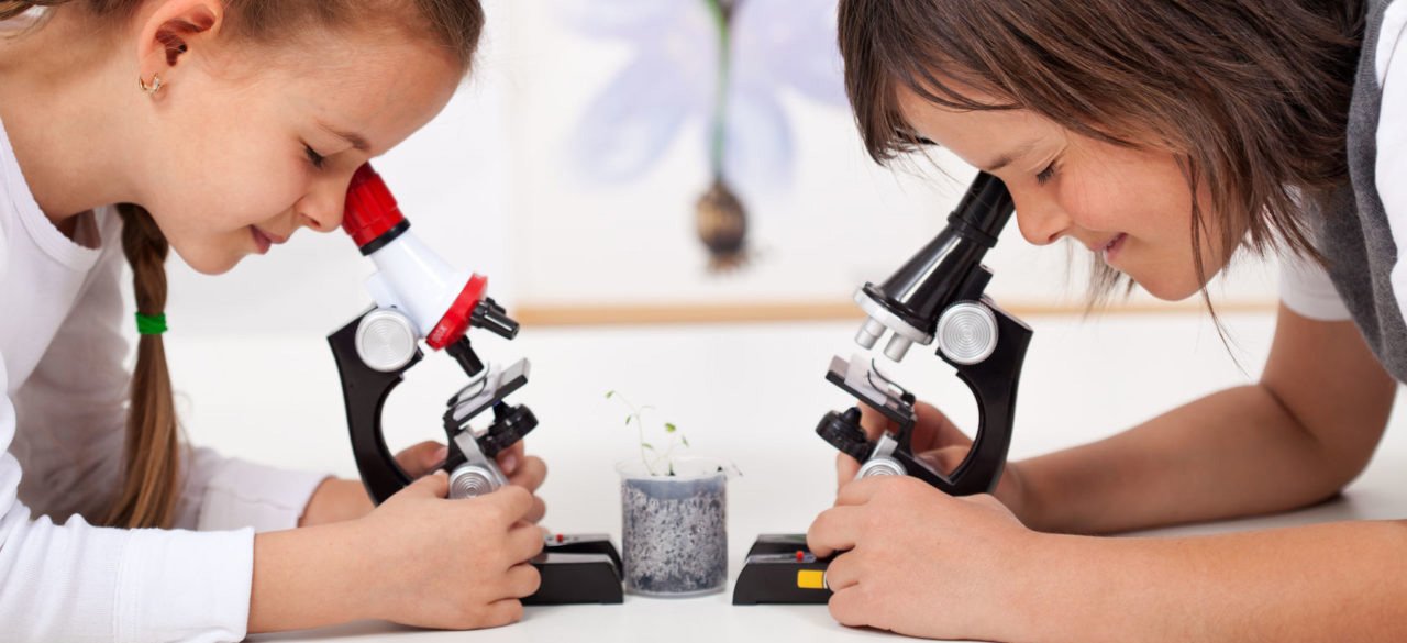 микроскопы детские в Перми